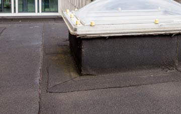 disadvantages of Moor Crichel flat roofs