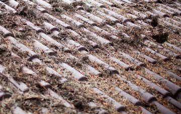 Moor Crichel roof cleaning companies