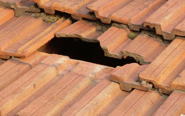 roof repair Moor Crichel, Dorset