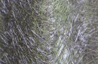 Moor Crichel fibreglass roof work